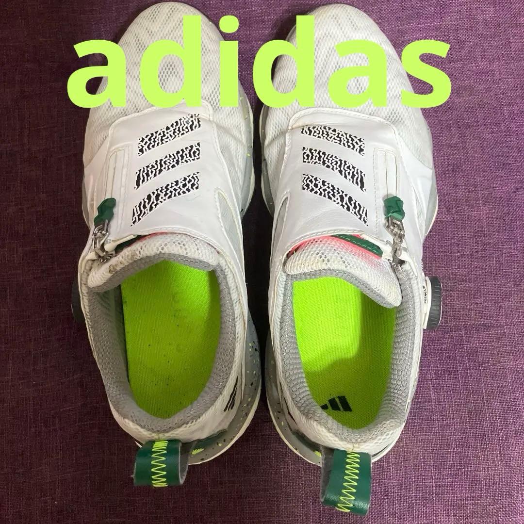 ゴルフシューズ adidas コードカオス25 ホワ✖️グリーン 25センチ