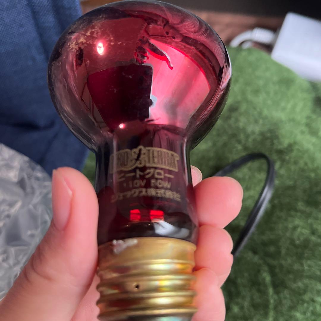 爬虫類用　保温ライト