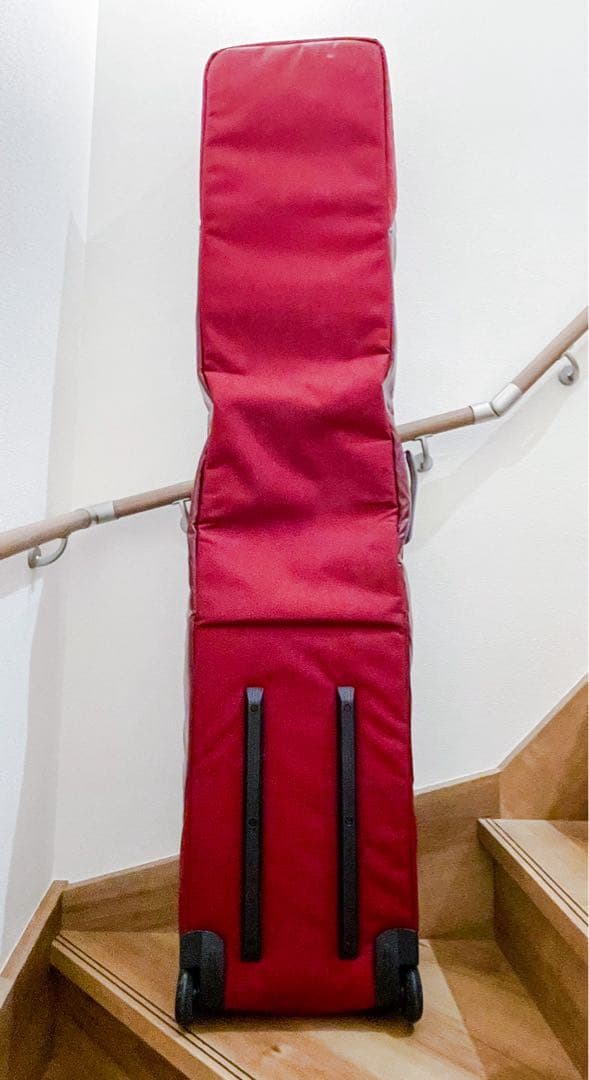 Patagonia Black Hole  Roller ボードケース