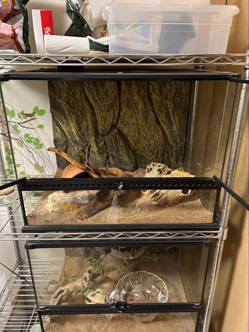 ケージ　エキゾテラ EXOTERRA グラステラリウムPRO6045