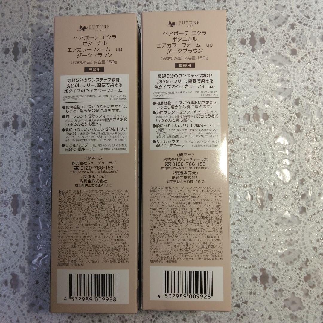 ヘアボーテ エクラ ボタニカルエアカラーフォーム ダークブラウン 2本