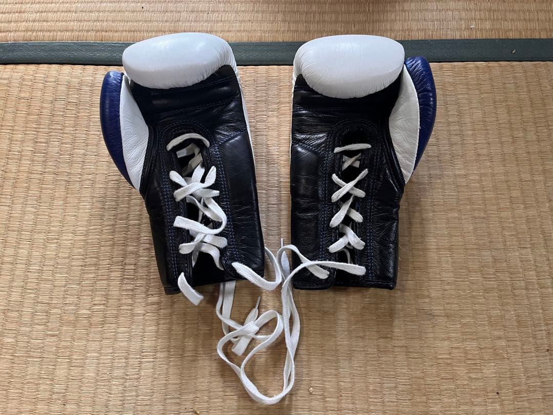 WINDY製RISE公式試合用ボクシンググローブ6oz（青）