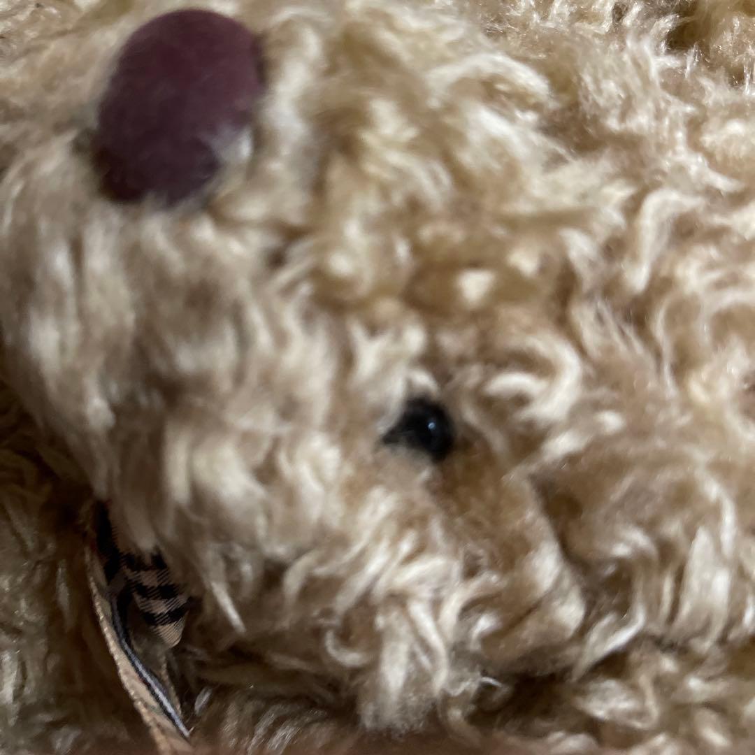 451  テディベアぬいぐるみ