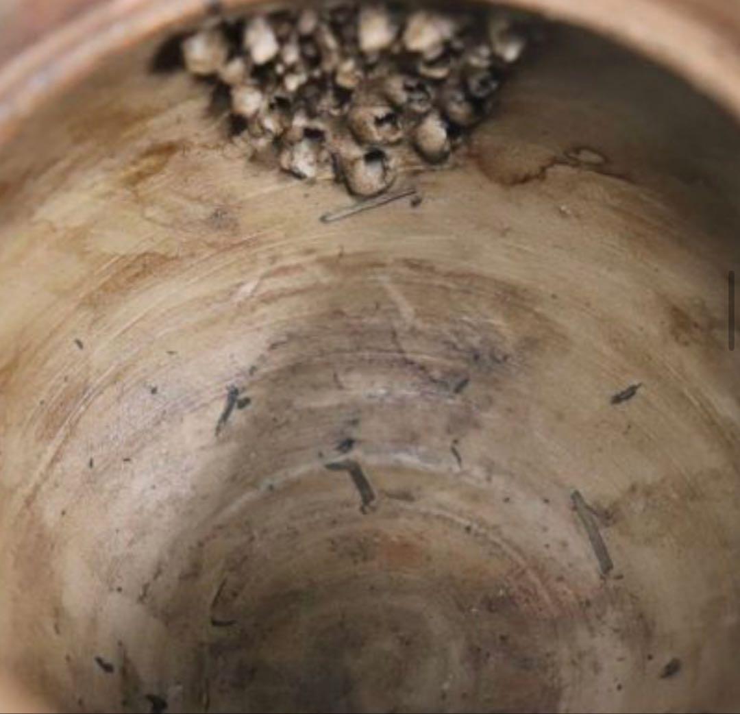 カセ赤秞備前焼名工岡安宮山人作備前陶器亀摘手造宝瓶長寿母子亀