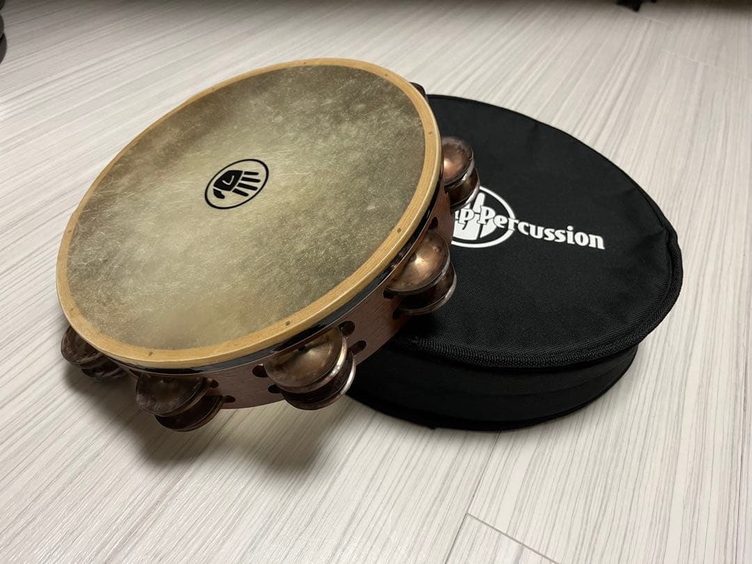 Black Swamp TD1 Chromium 25 タンバリン　ケース付き