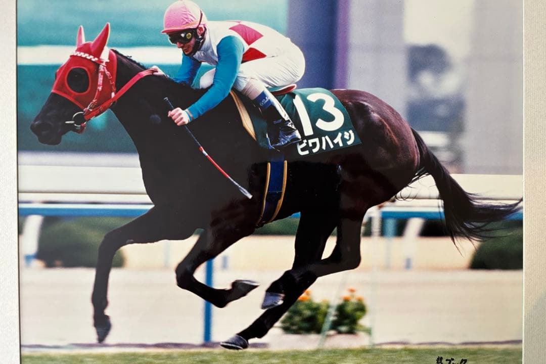 ビワハイジ写真パネル