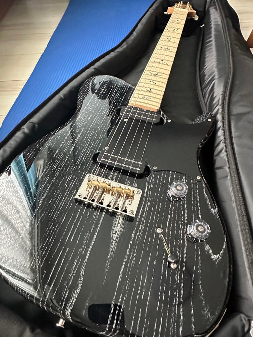 ギター Paul Reed Smith NF 53 BlackDoghair