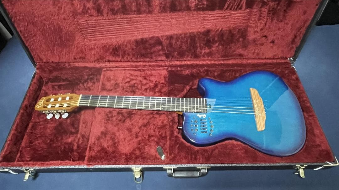 【最終値下げ】Godin Multiac Nylon SA ゴダン エレガット