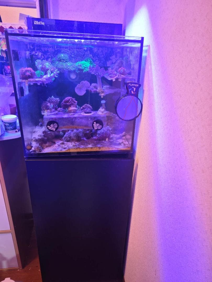 引取り限定 Redsea MAX NANO水槽