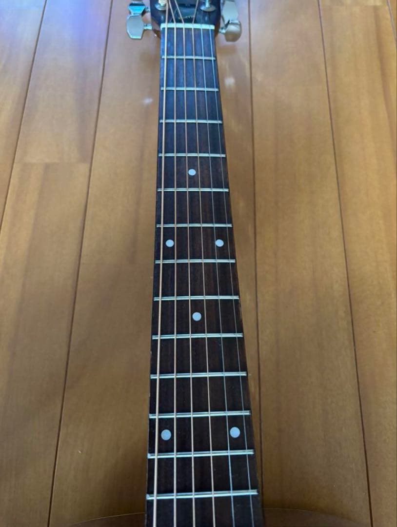 Morris F-18 アコースティックギター