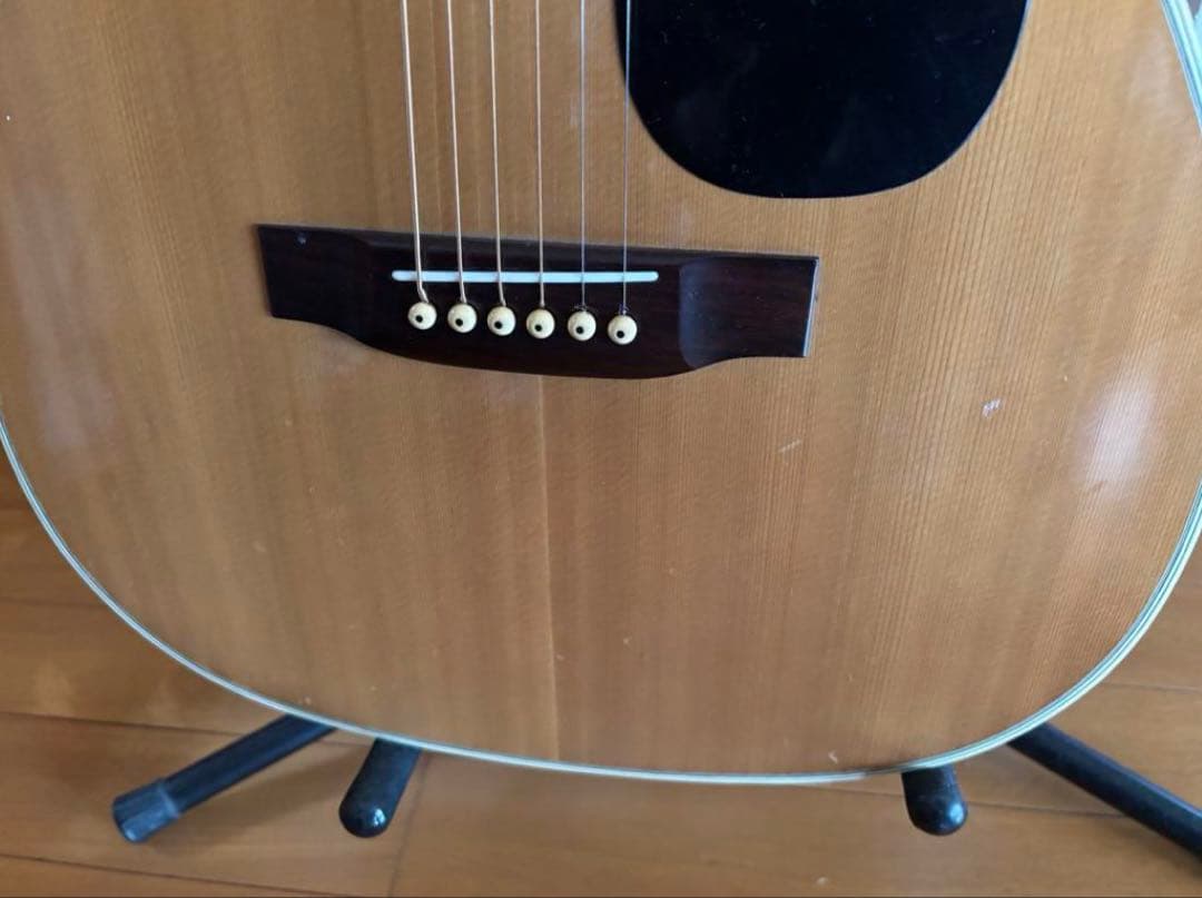 Morris F-18 アコースティックギター