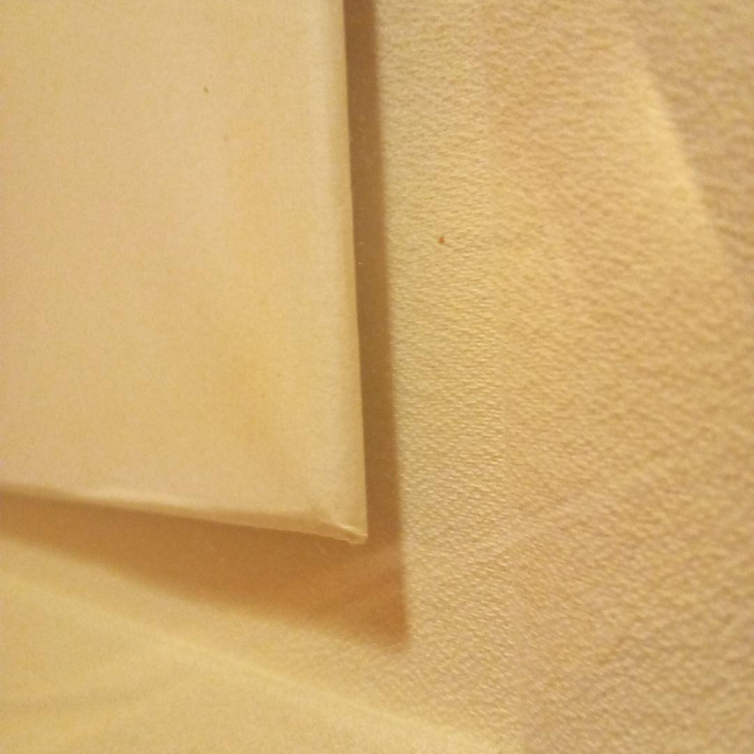 【巴里爾鑑定證】 棟方志功 大作 「飛鯉図」 (委員会は未鑑定)