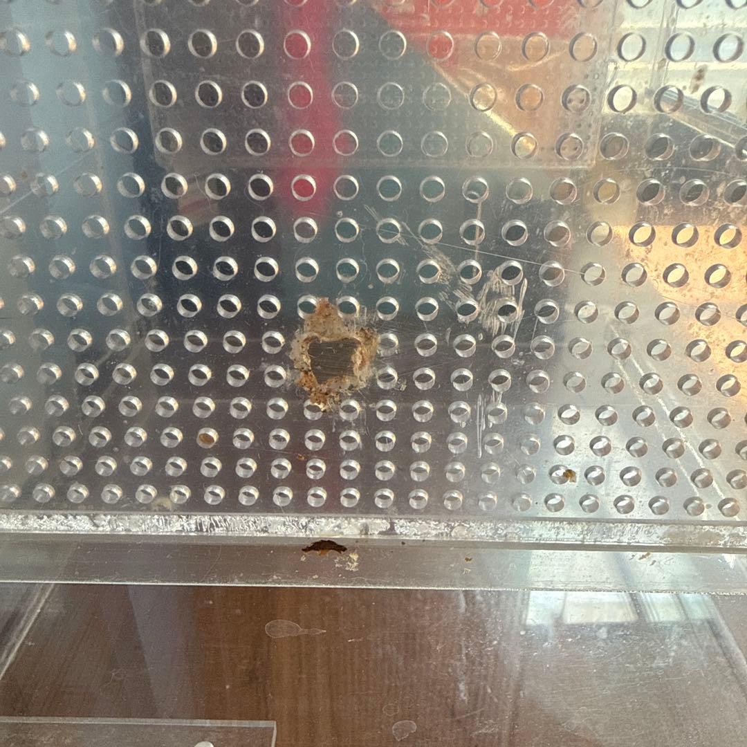 アクリル中型小動物用ケージ フクロモモンガ リス