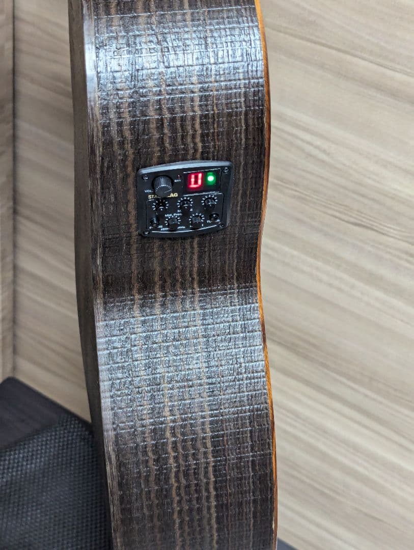 かんな LAG GUITARS SAUVAGE-PE パーラーギター