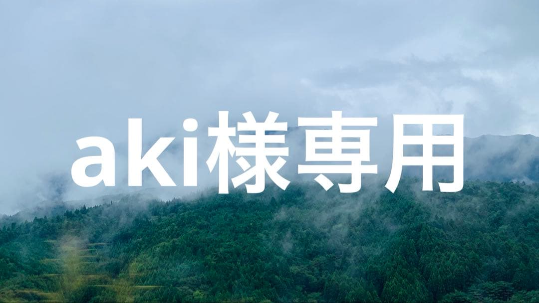 テーブル・チェア・ハンモック aki