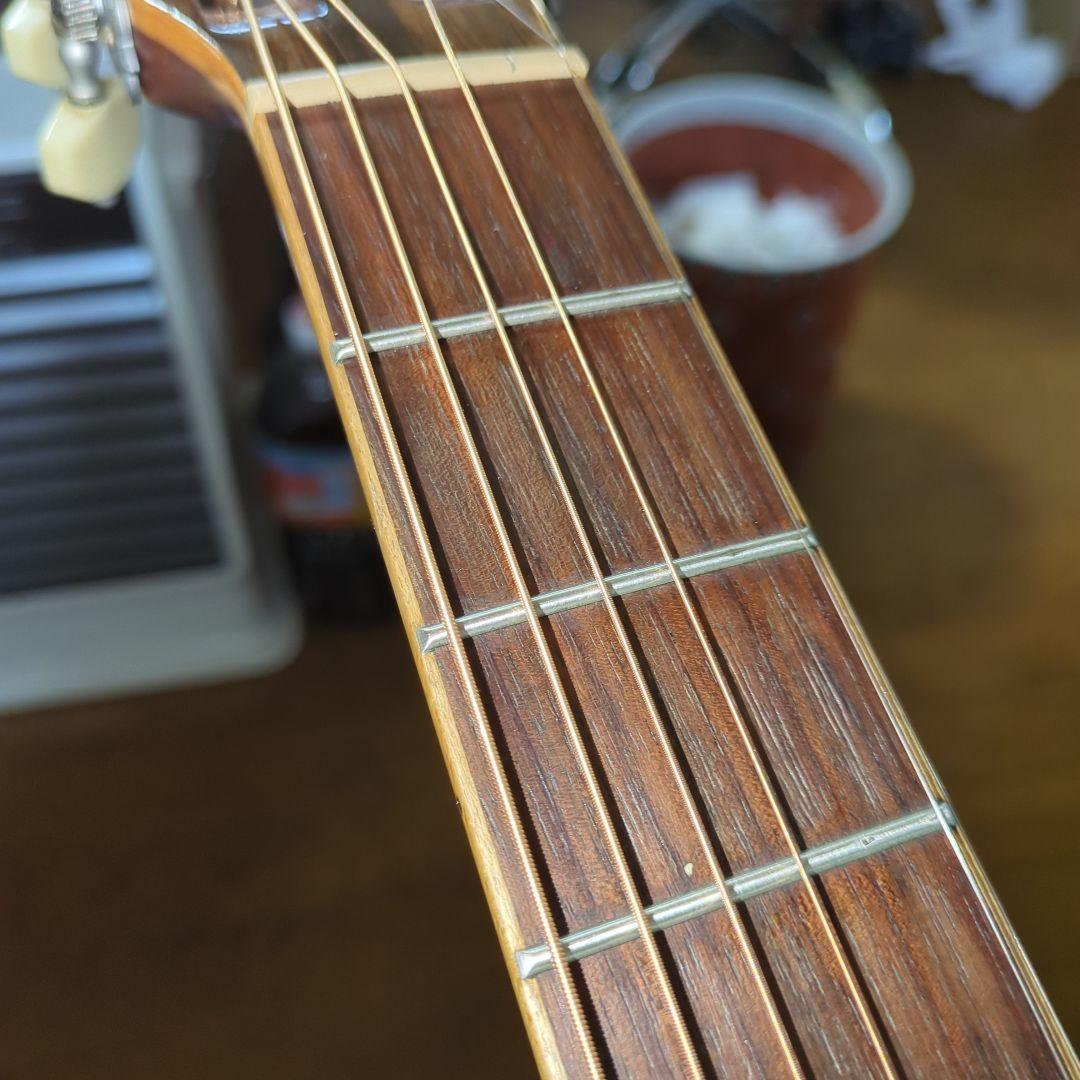 ARIA.希少ADL-05N トップ単板アコースティック ギター