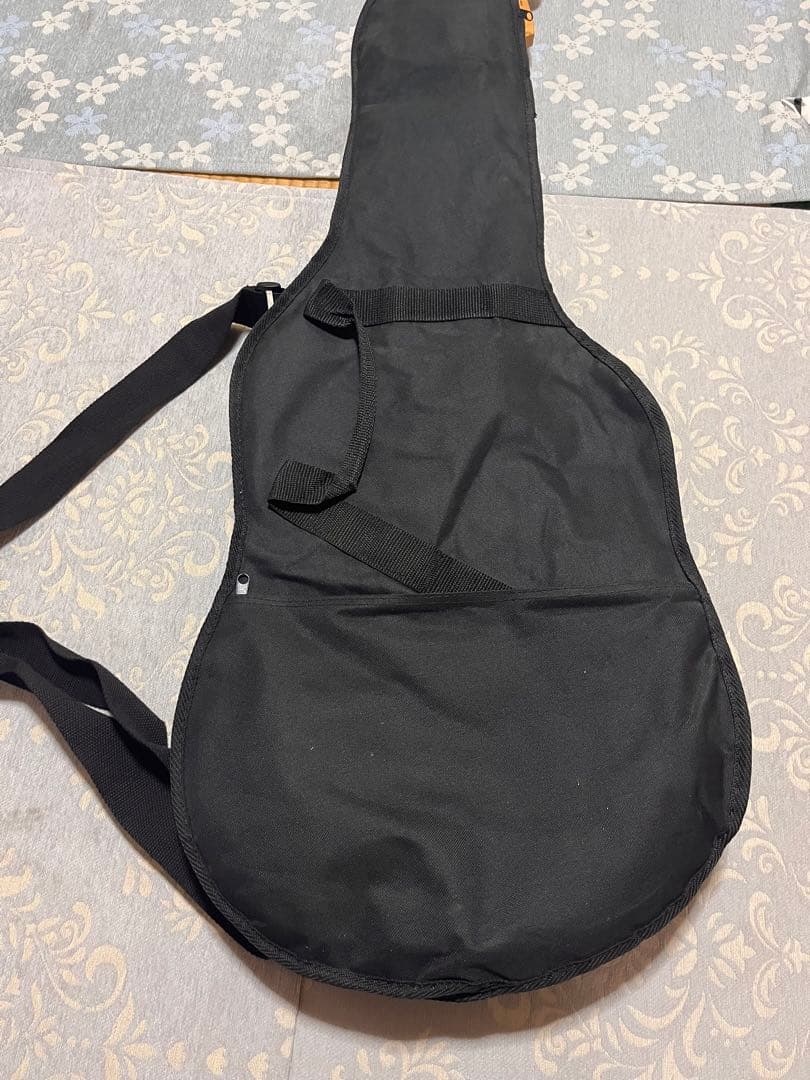 エレキギター　カバン付