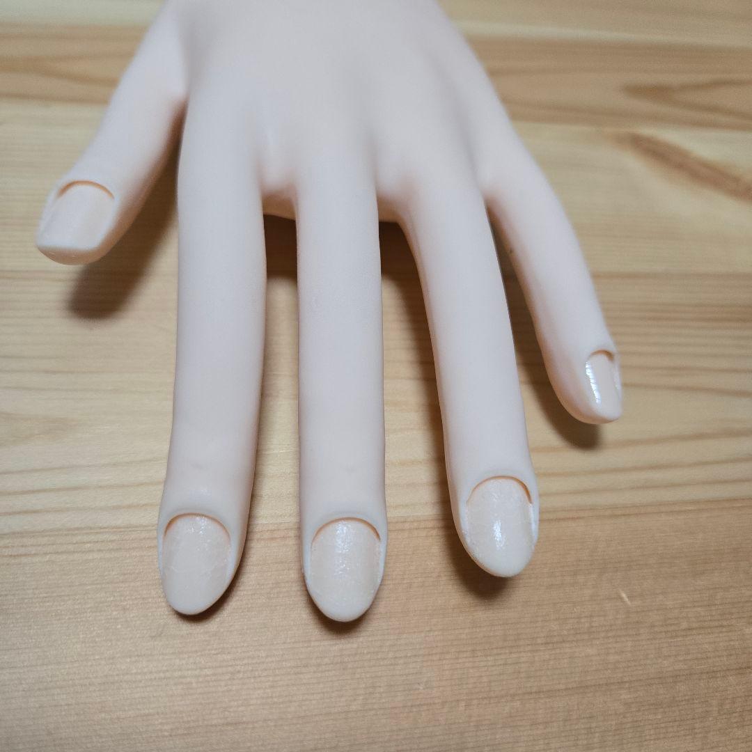 ネイリスト技能検定試験用　JNEC認定モデルハンド