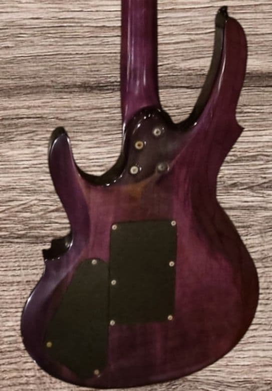 ESPグラスルーツフォレスト シースルーフロイトローズ、ダンカン エレキギター