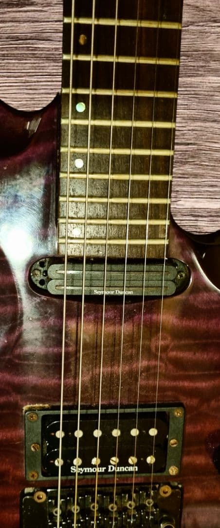 ESPグラスルーツフォレスト シースルーフロイトローズ、ダンカン エレキギター