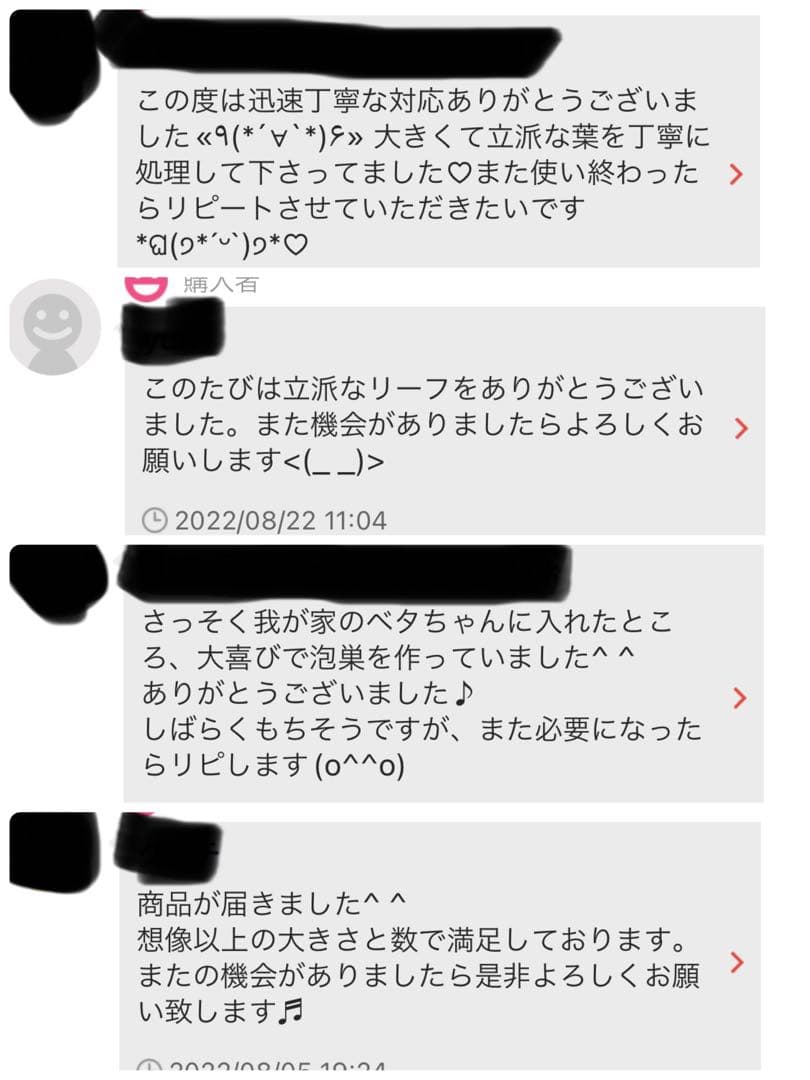 沖縄県やんばる産マジックリーフ 1kg UV殺菌灯照射済み②