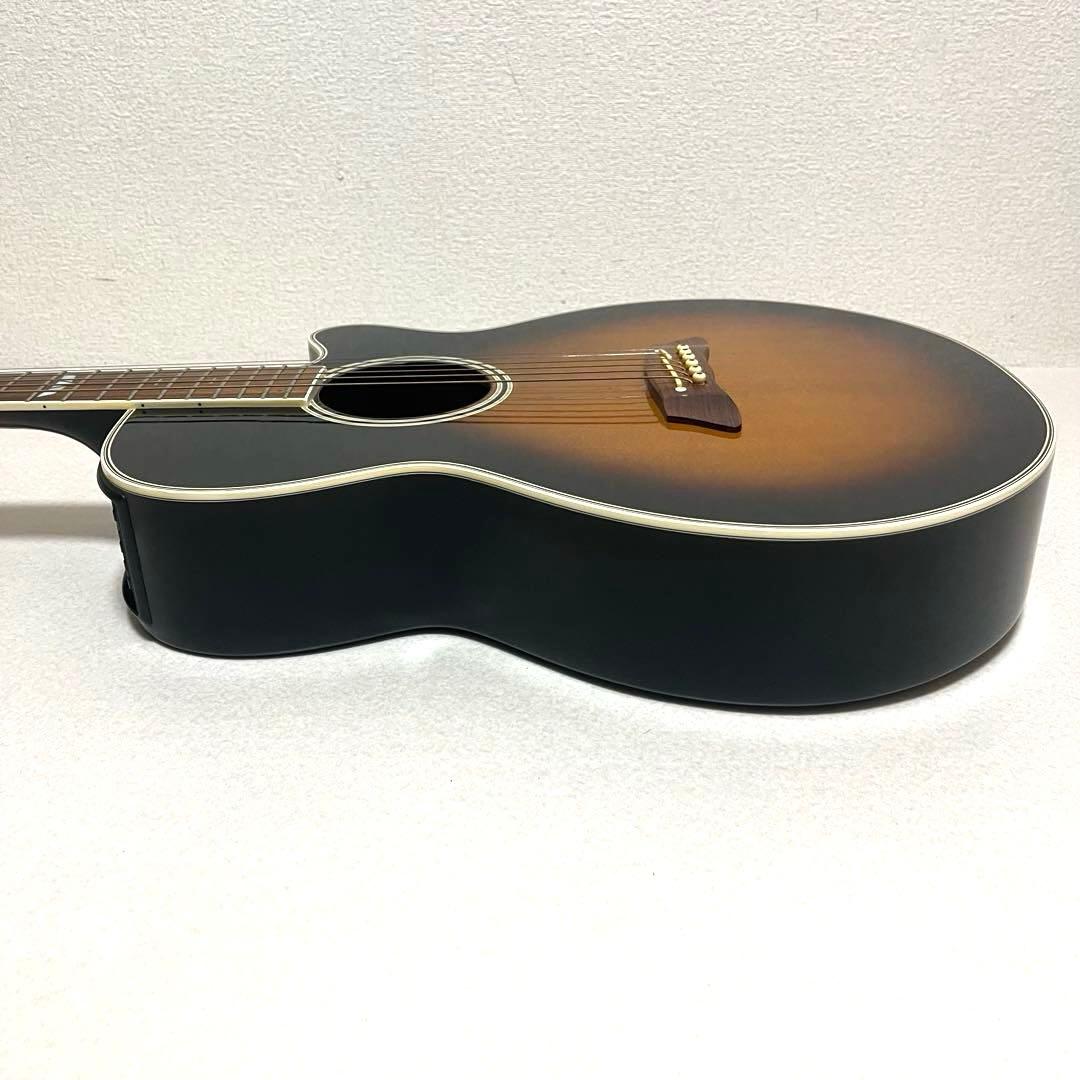 Takamine DSP110 エレアコ アコギ ハードケース付属 高峰