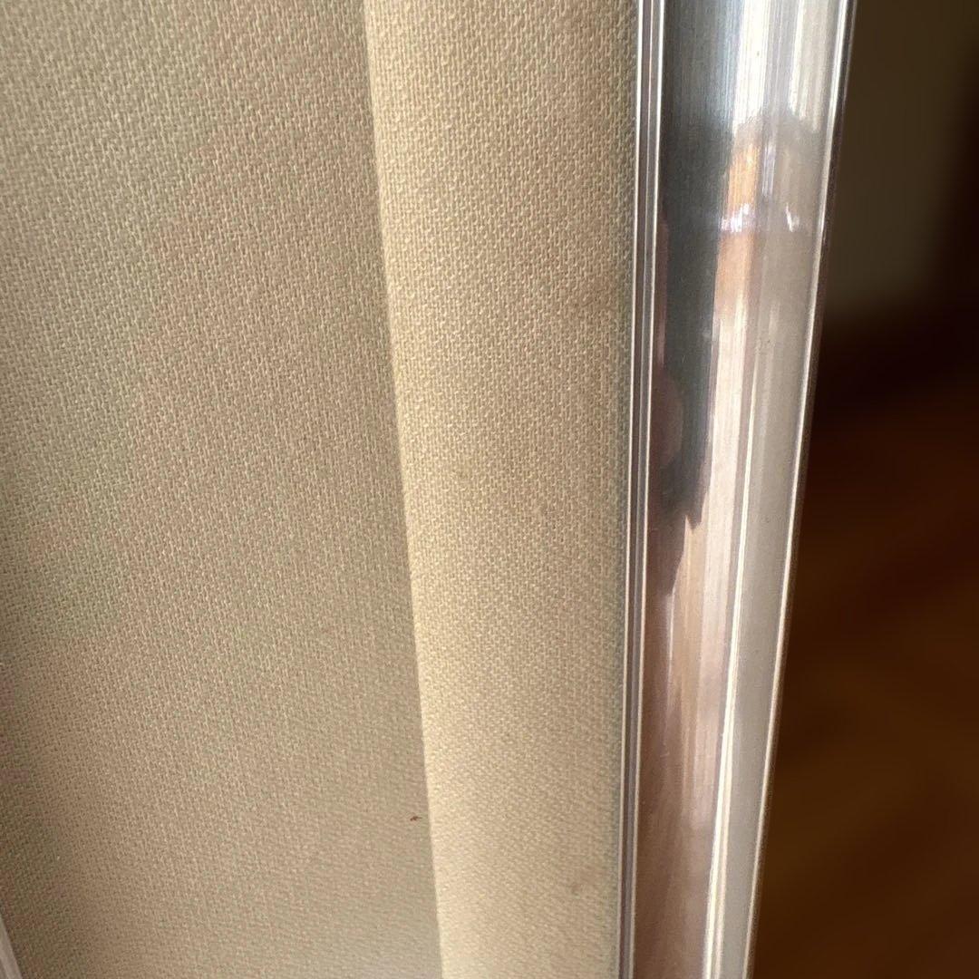 絵画　牡丹　　⚠️素人画