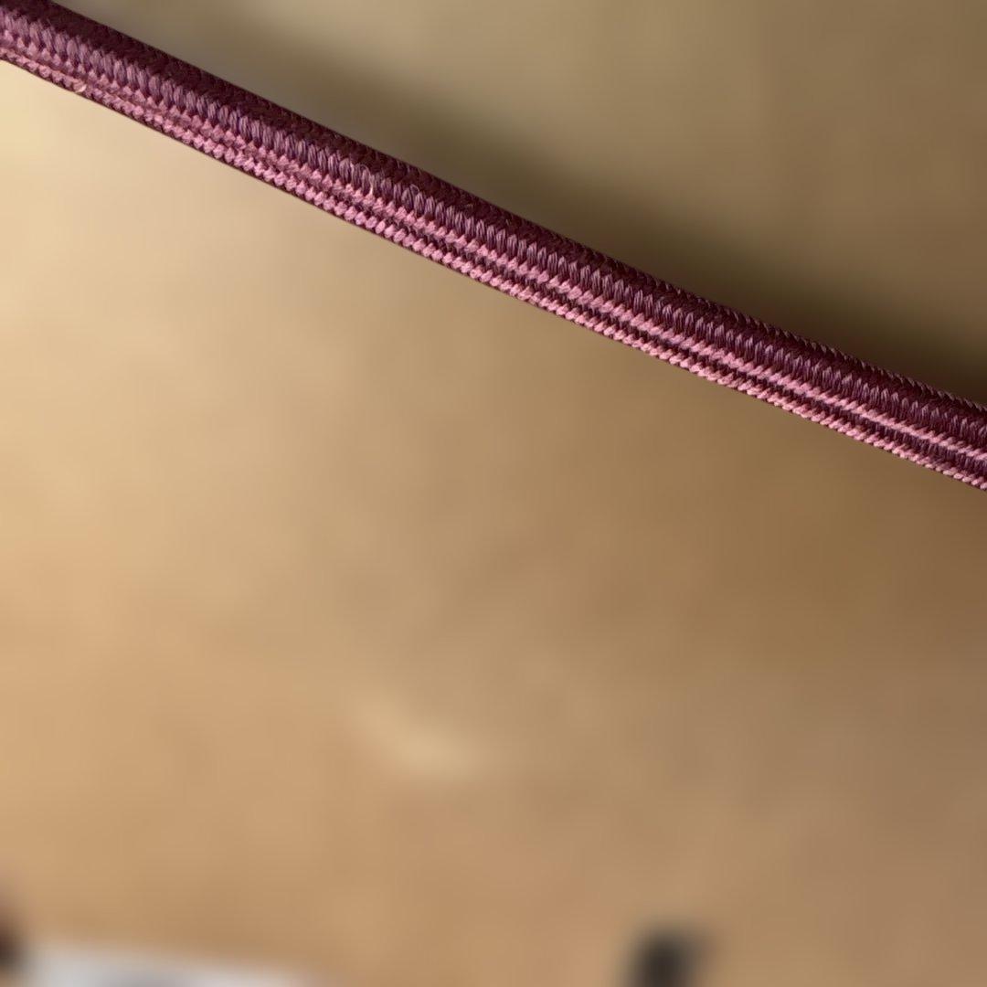 絵画　牡丹　　⚠️素人画