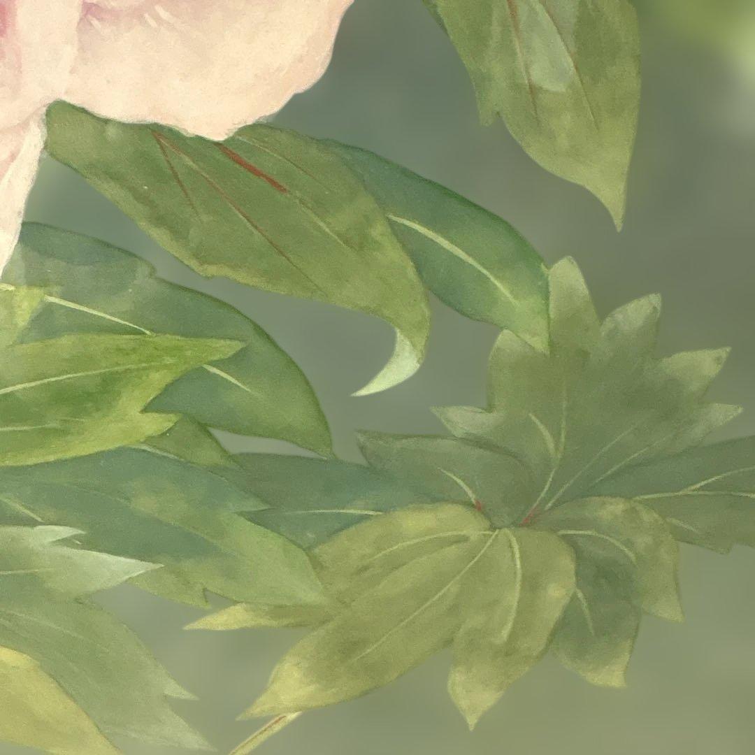 絵画　牡丹　　⚠️素人画