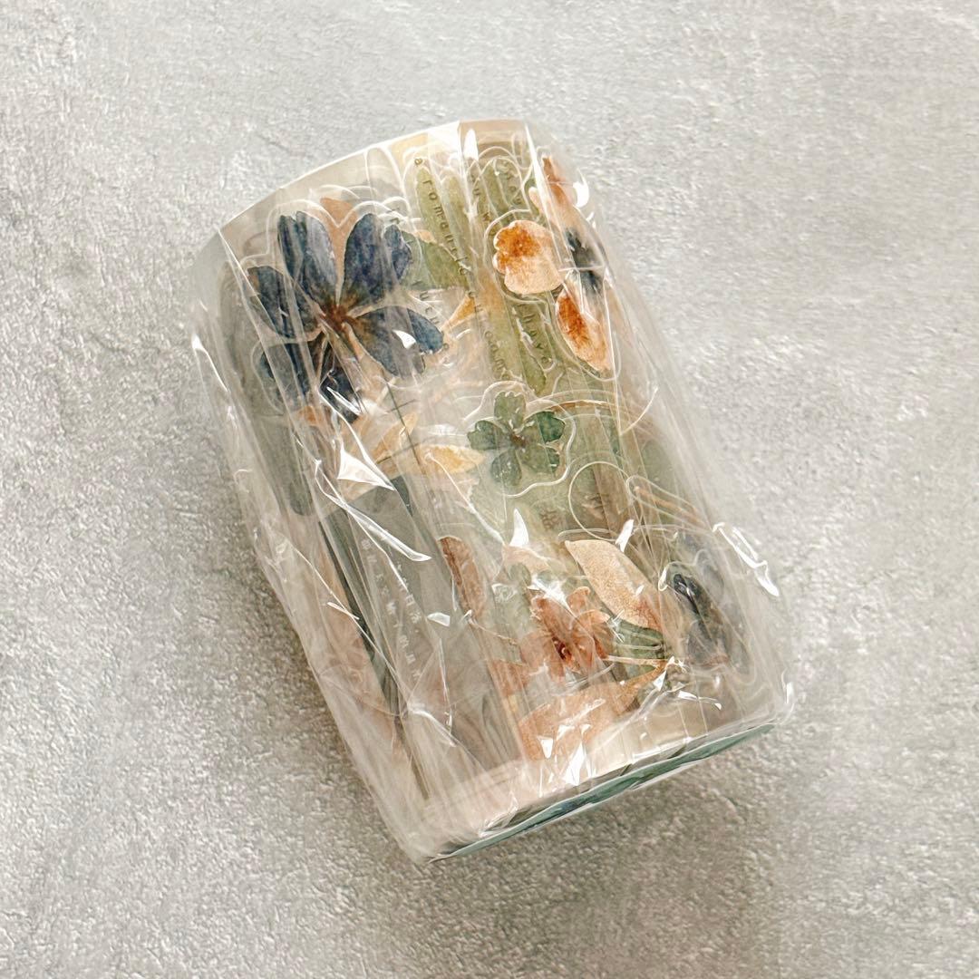 ⭐️SALE⭐️小白家文創《青书》海外マスキングテープ マステ 【7251】