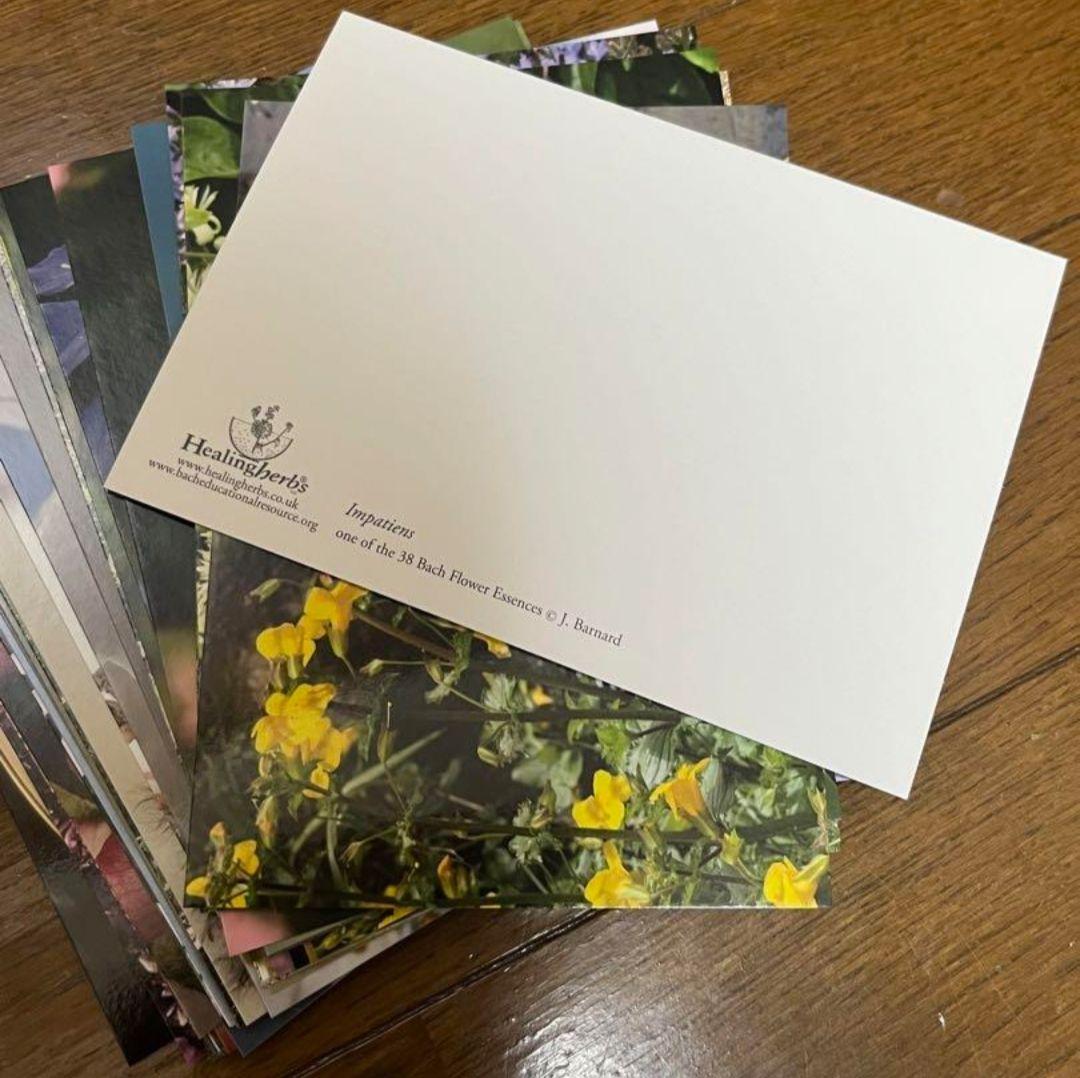 kazunoページ■52000+16700=68700ヒーリングハーブス社