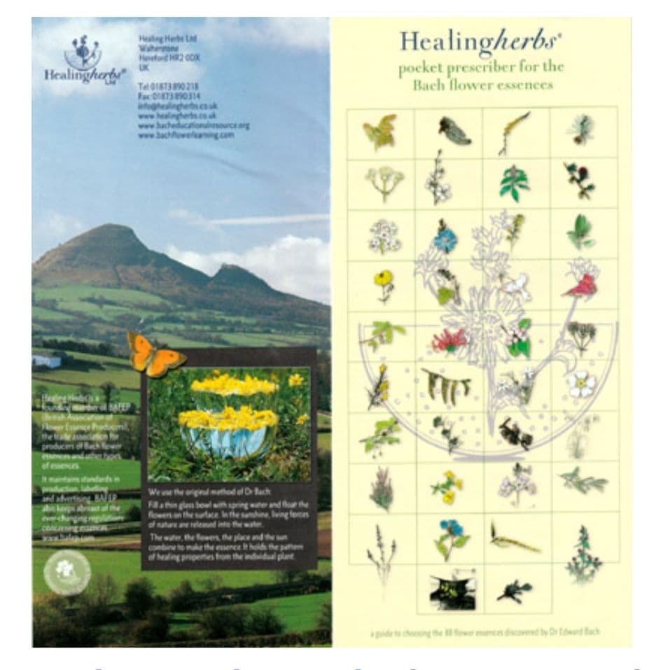 kazunoページ■52000+16700=68700ヒーリングハーブス社