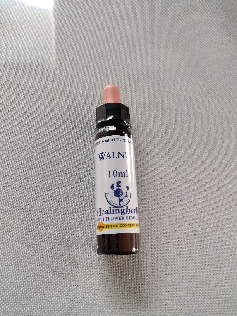 kazunoページ■52000+16700=68700ヒーリングハーブス社