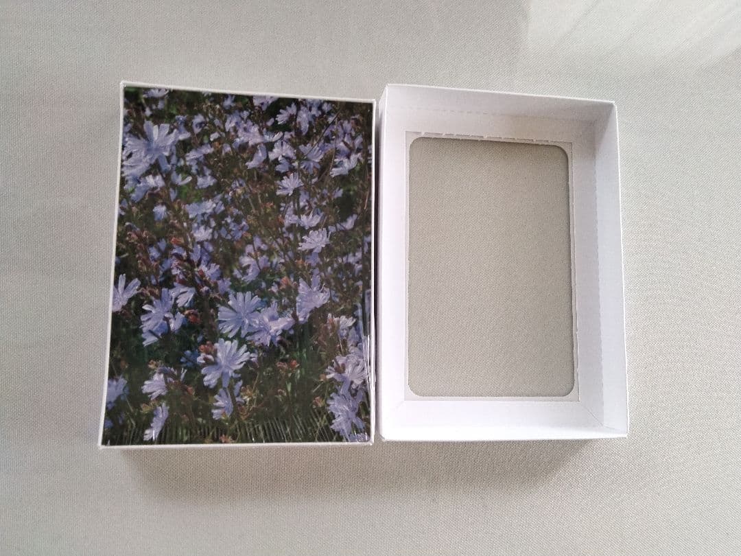 kazunoページ■52000+16700=68700ヒーリングハーブス社