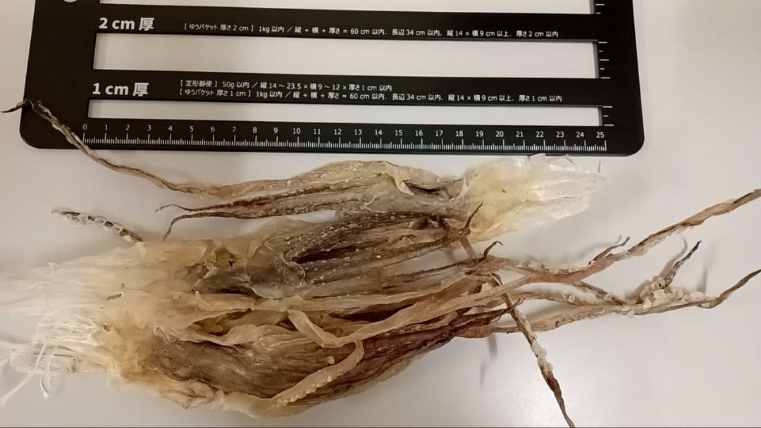 と*ろ様 【大容量:10kg 】ダイエットにも最適な大好評珍味 真イカするめS足