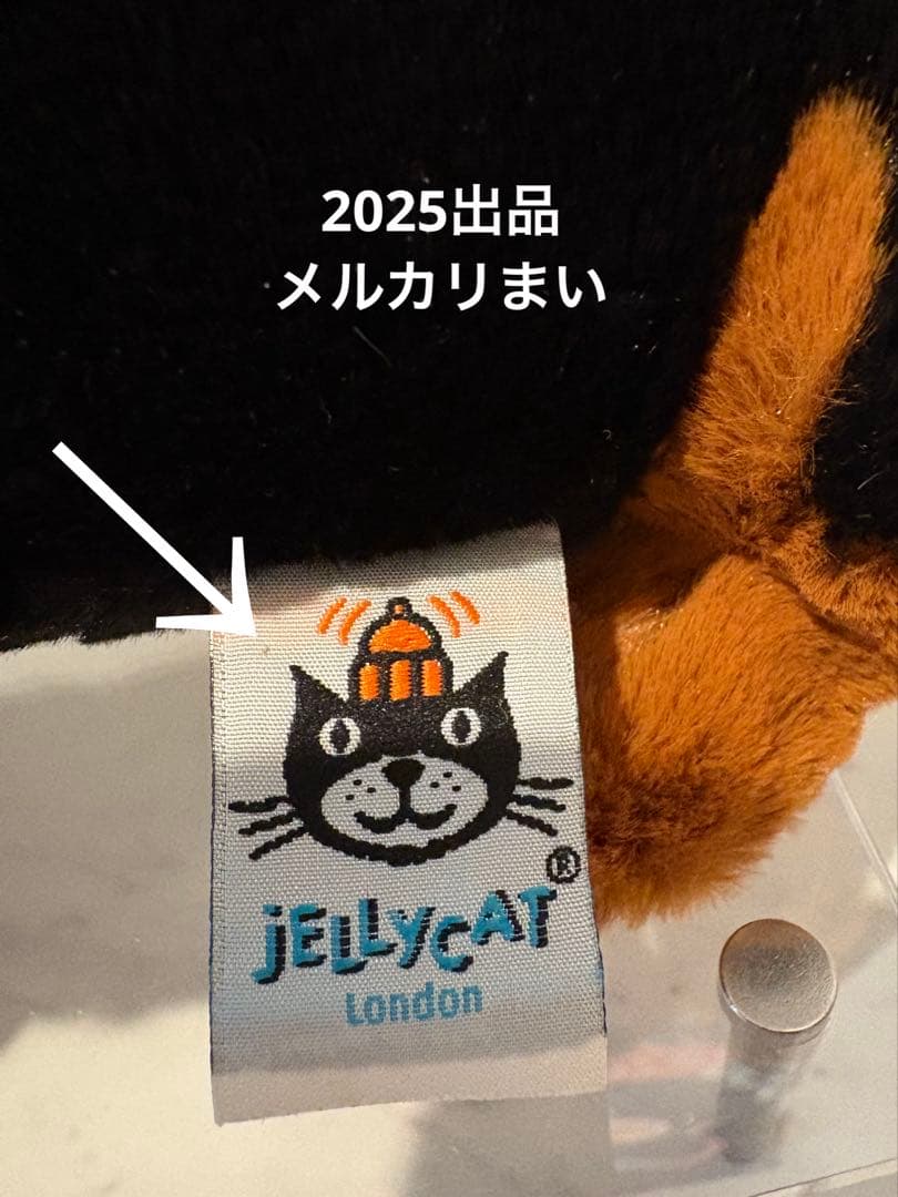  Freddie Sausage Dog ダックスフンド　犬