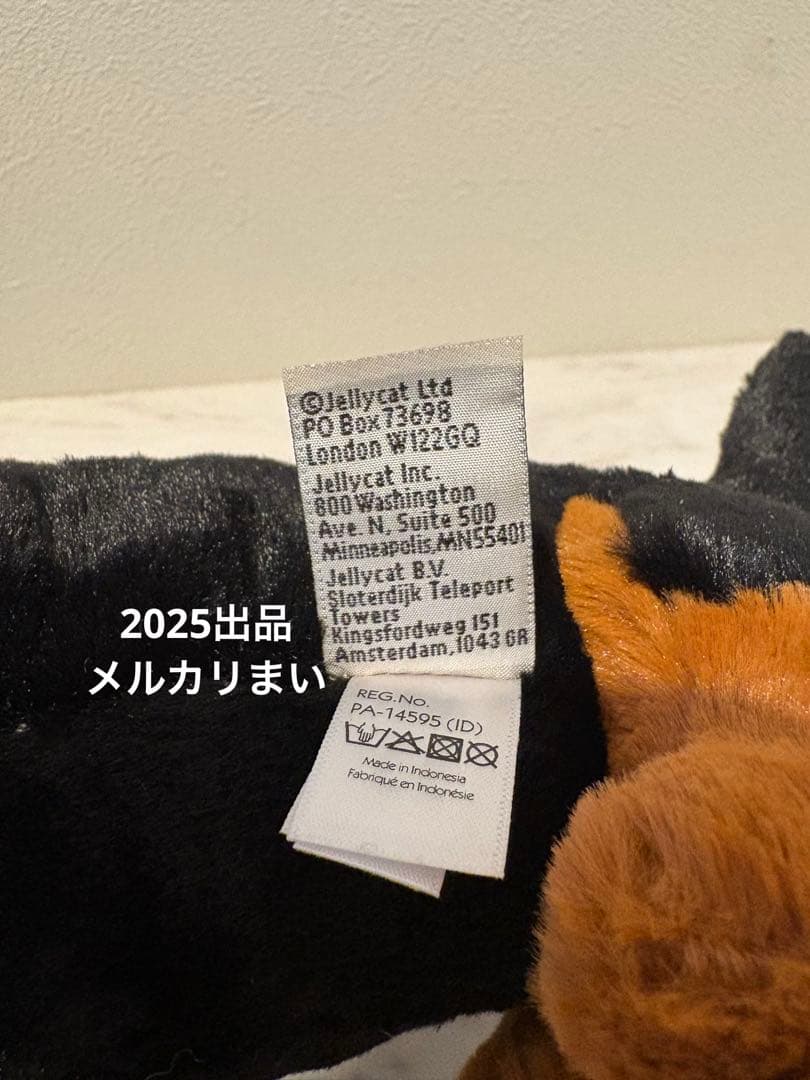  Freddie Sausage Dog ダックスフンド　犬