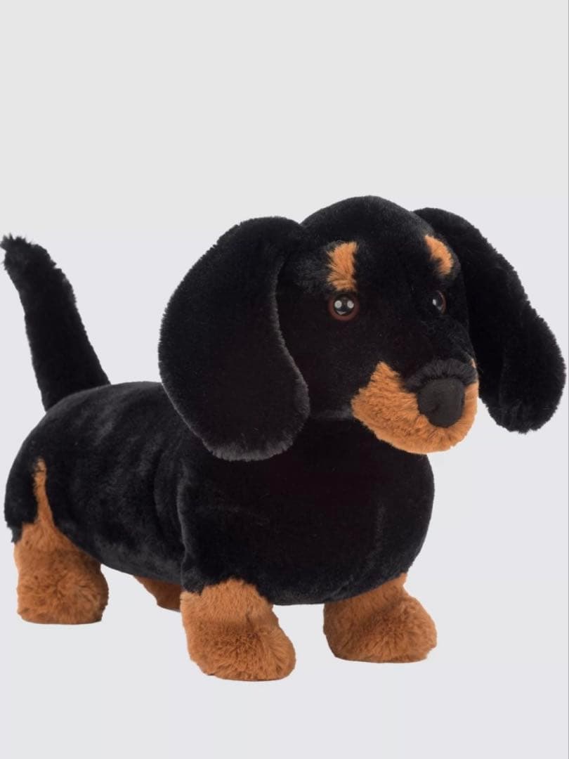  Freddie Sausage Dog ダックスフンド　犬