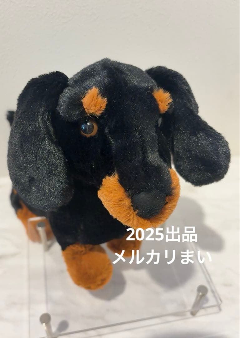  Freddie Sausage Dog ダックスフンド　犬