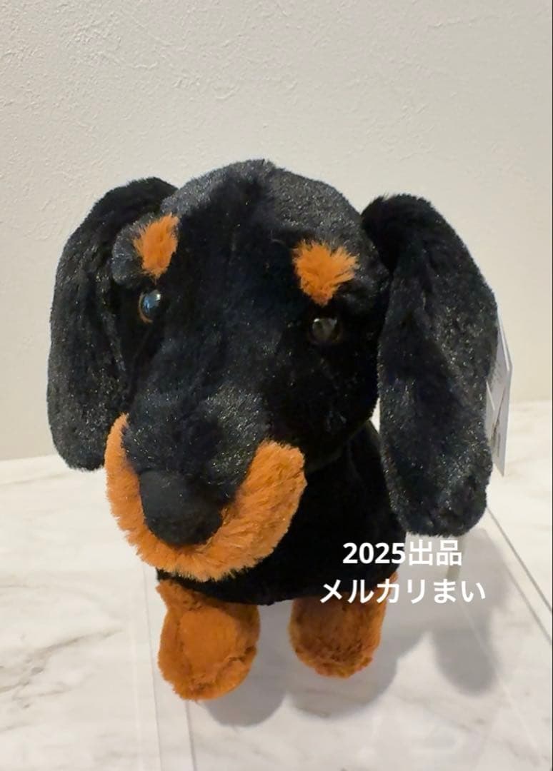  Freddie Sausage Dog ダックスフンド　犬