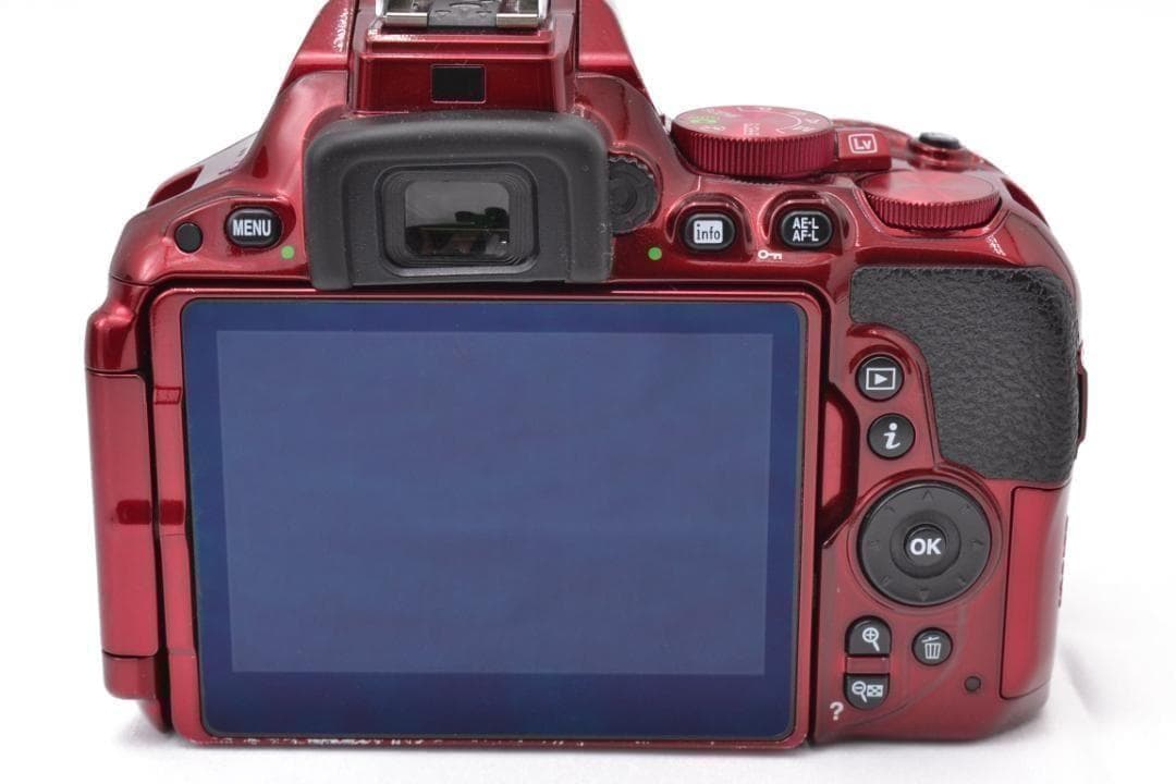 ニコン　Nikon D5500 希少RED ダブルズーム カメラバッグ付