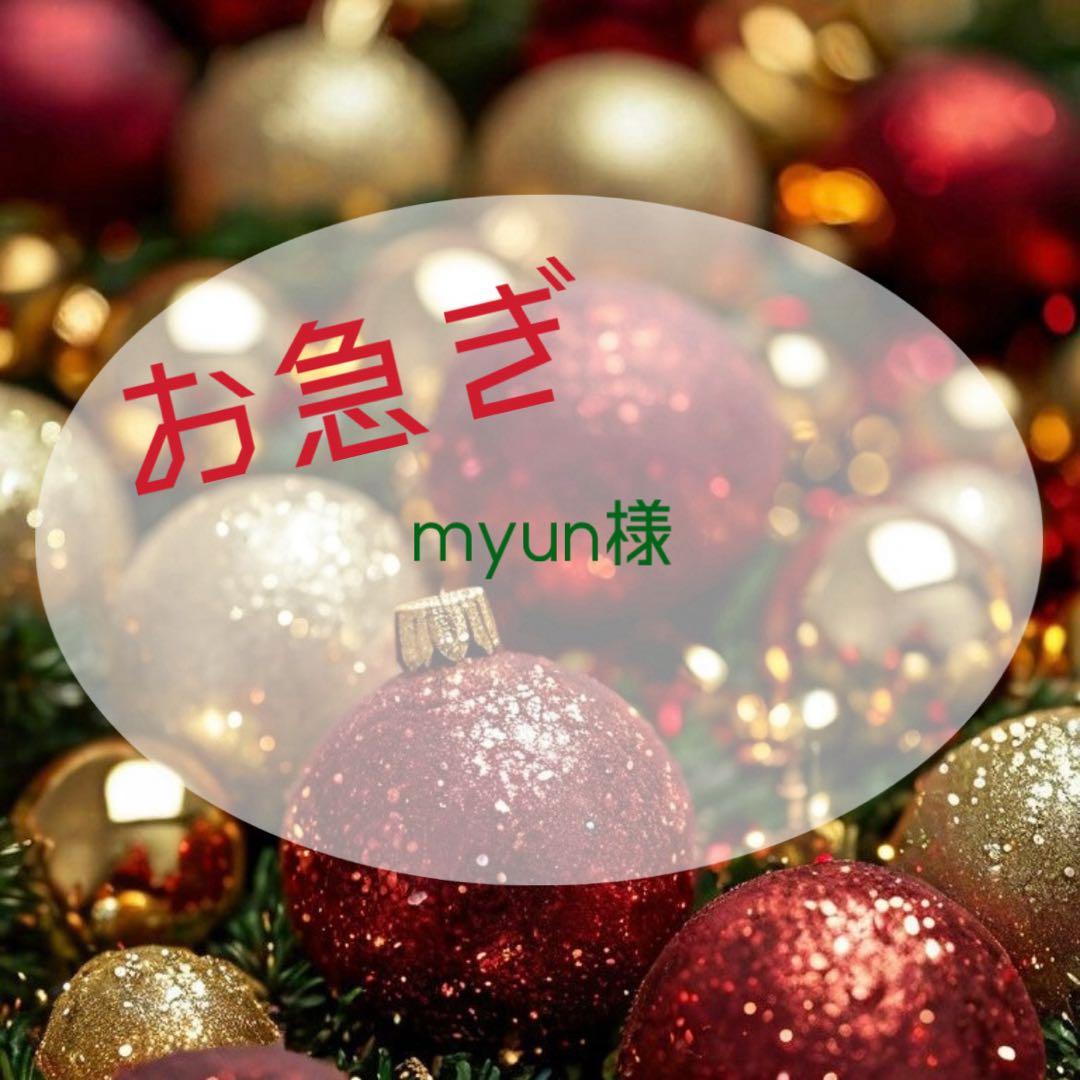 【お急ぎ】myun様