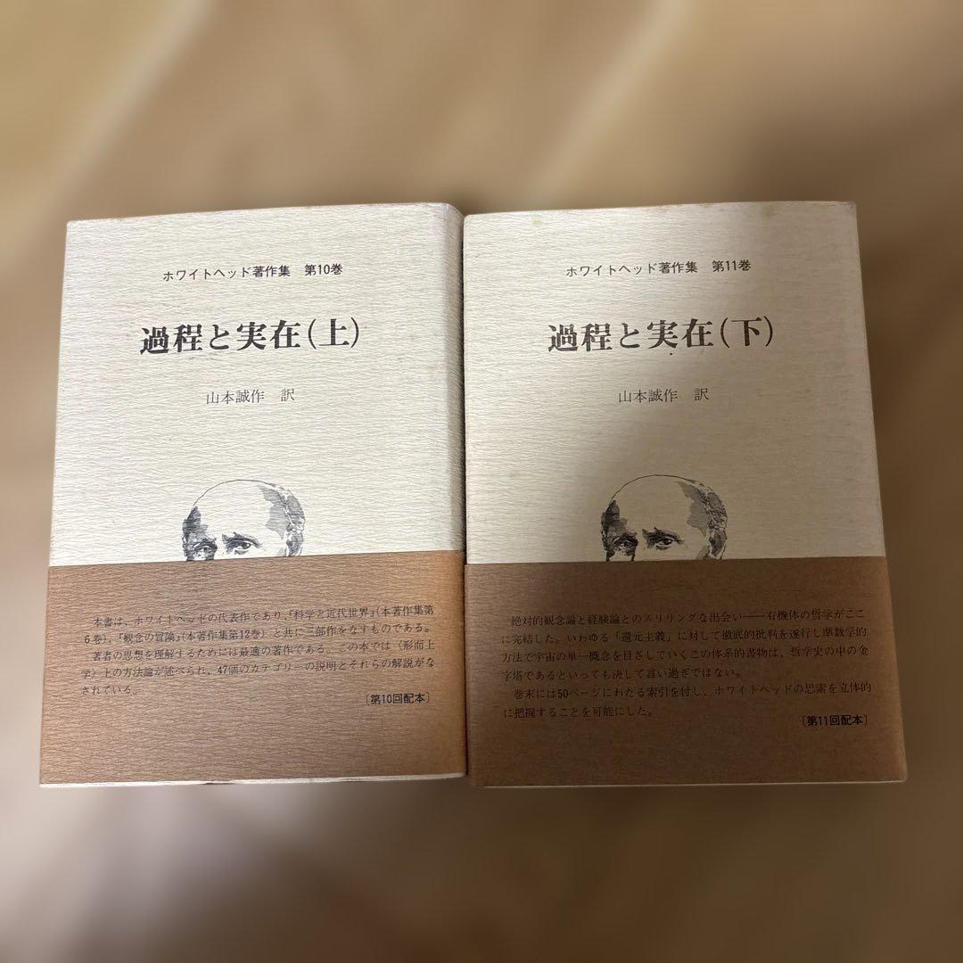 つ*さ様 過程と実在 (上) & (下)