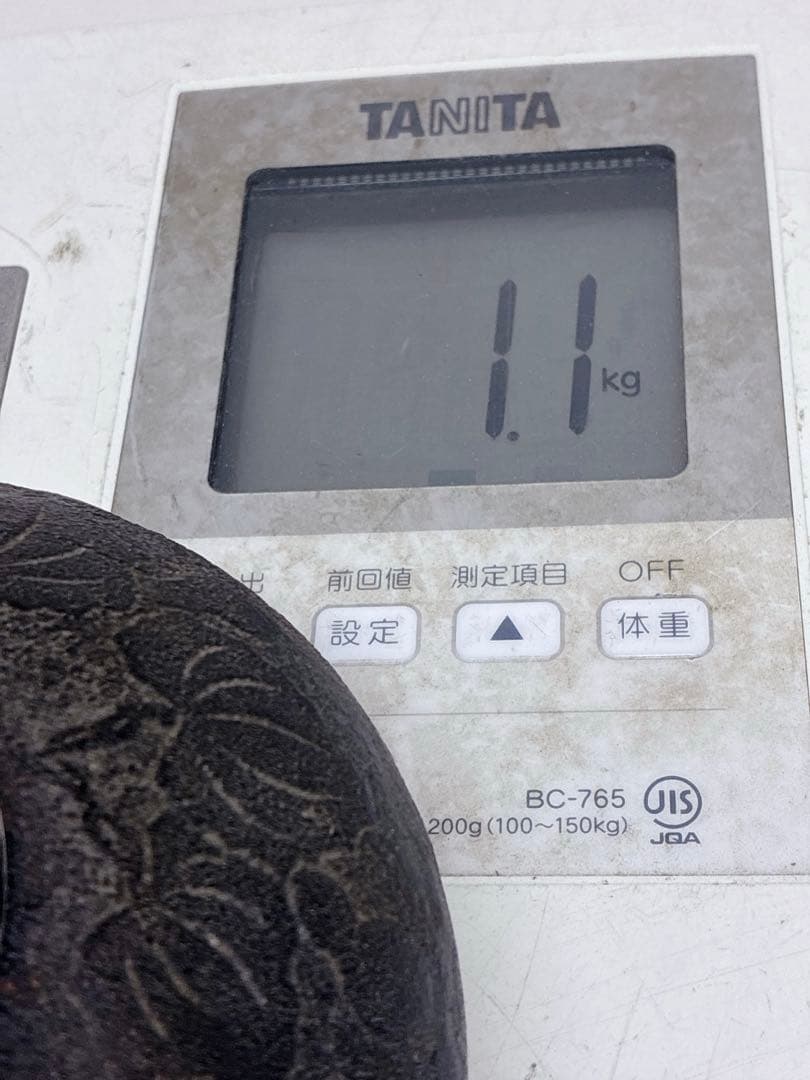 南部鉄器 瓢箪 ひさご鉄瓶 ホーロー急須 浮彫り瓢箪柄 伝統工芸品 コレクション