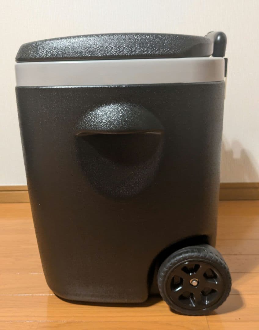 激レア　マキシマム ザ ホルモン　Monster　クーラーボックス　非売品