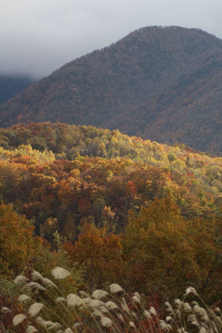 デジタルカメラ Canon EOS Kiss x7