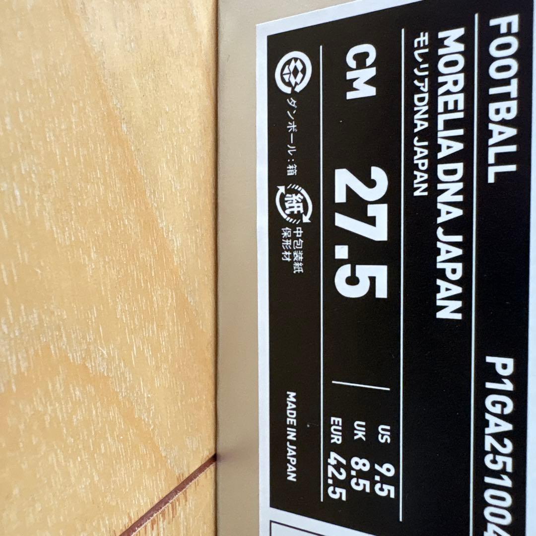 モレリアDNA JAPAN