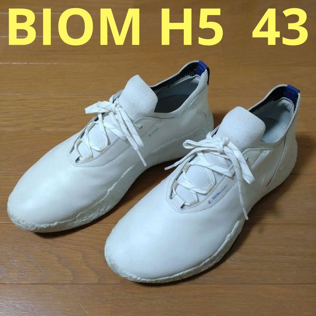 シューズ(男性用) ecco BIOM H5 43