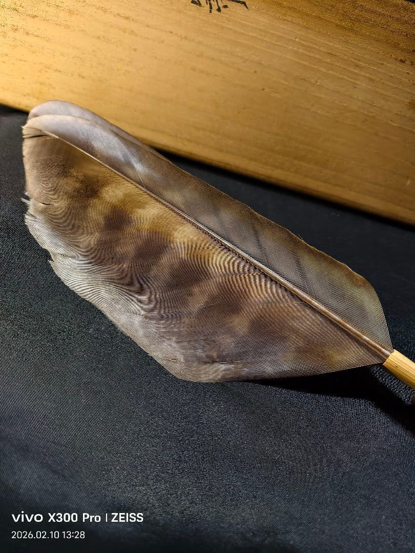 茶道具 鴻鶴 羽箒 炉用 共箱 未使用美品 旧家蔵出し 茶会用 茶釜