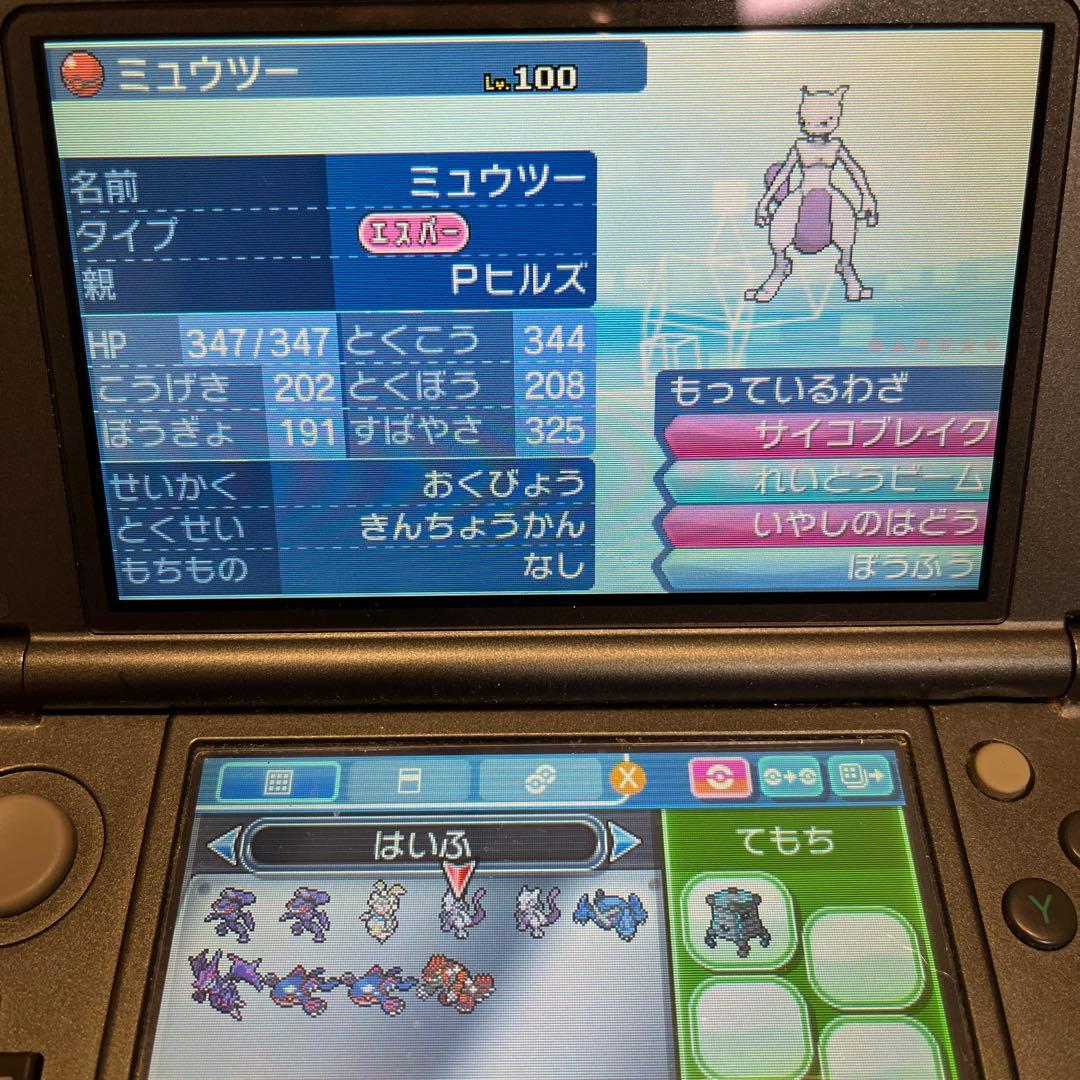 p*n様 ポケモン DS/3DS ゲームソフト